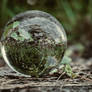 Crystal Ball in the Forest