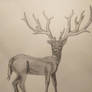 deer study 2 