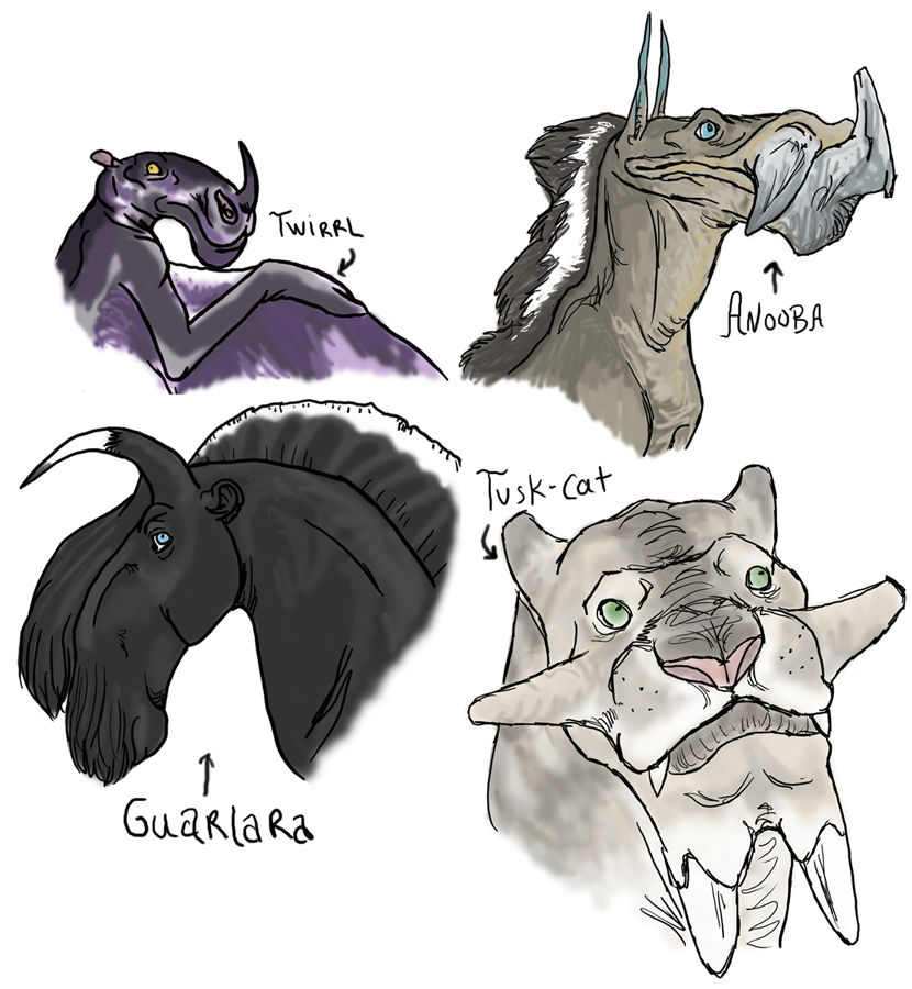 star wars animals 1 by Maxrunn on DeviantArt