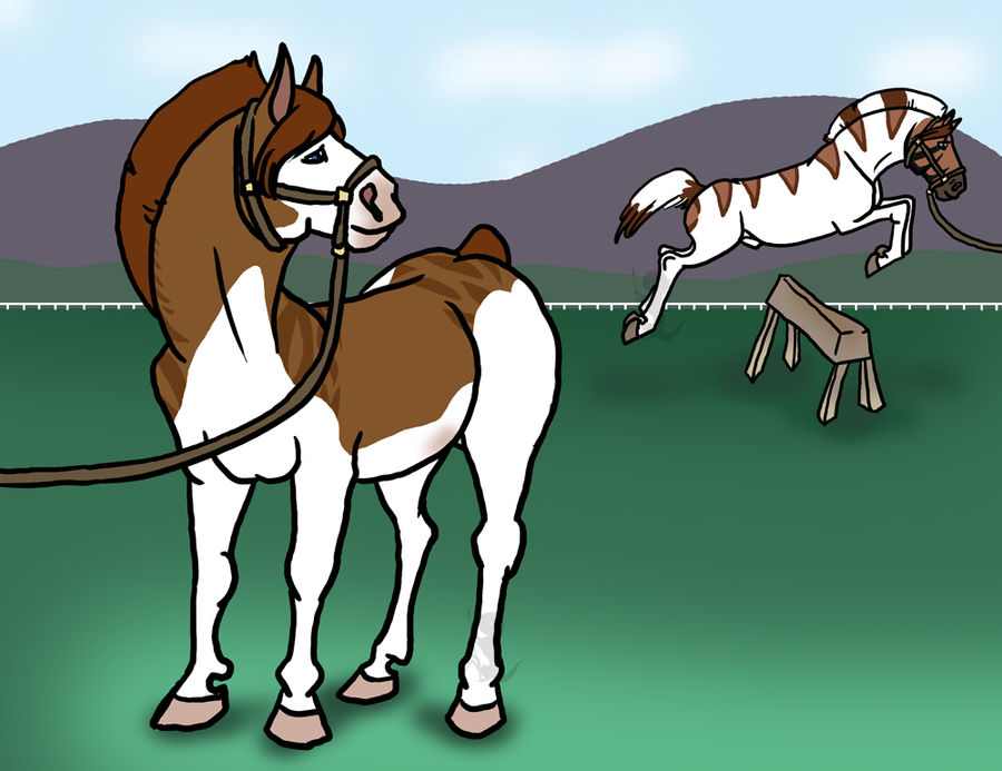 Deviantart Animal Jumping more jumping training by Maxrunn on DeviantArt