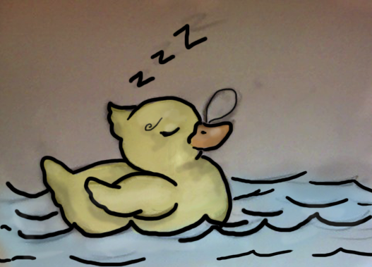 Sleepy duck