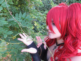 Teto: In the garden, a perfect flower will grow