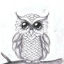 My little owl