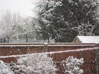 Snowy Garden