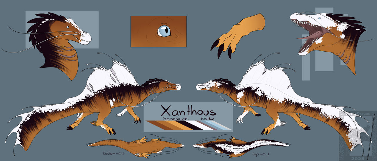 Xanthous ref sheet by DuskyDrag0n on DeviantArt