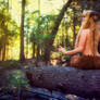Wild Life - Faun