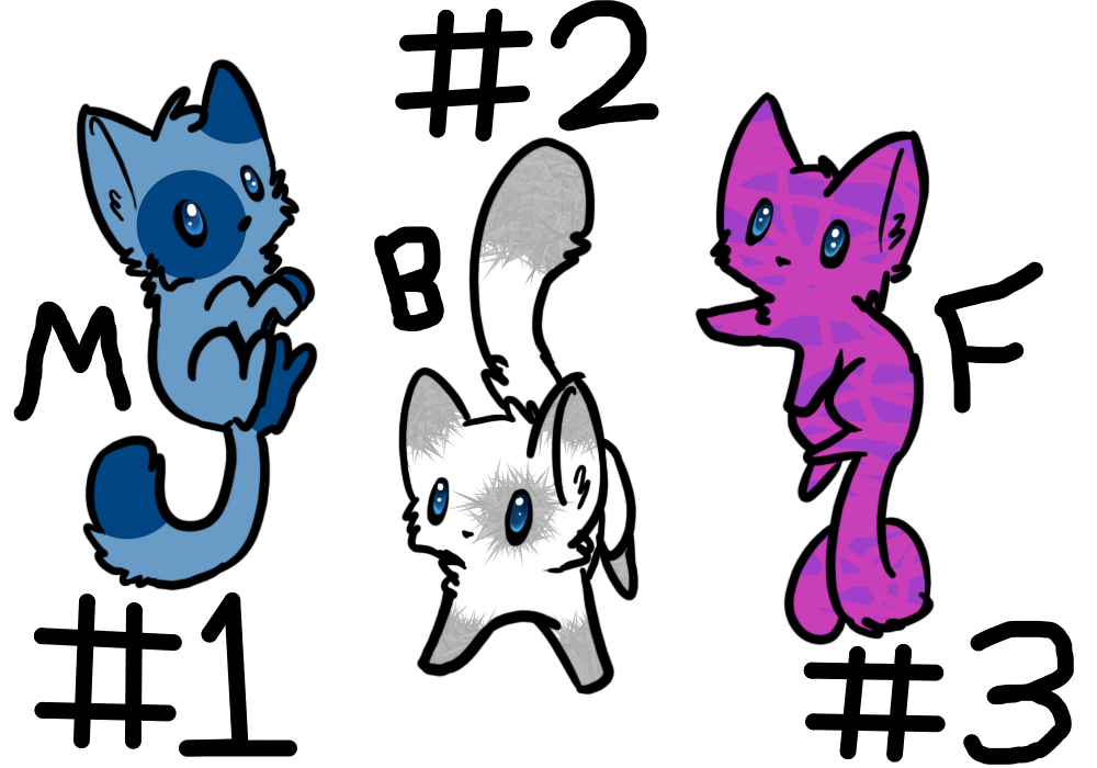 3 Kitty Adoptables