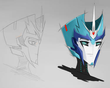 TFP Chromia head design