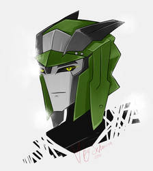 TFP free headshot 2