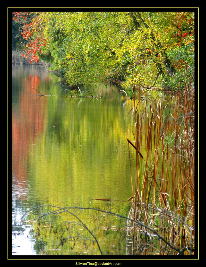 Autumn Mirror