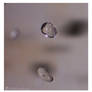 Shower Droplets 1
