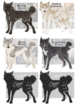 Vegas Spring Adopts:. Closed