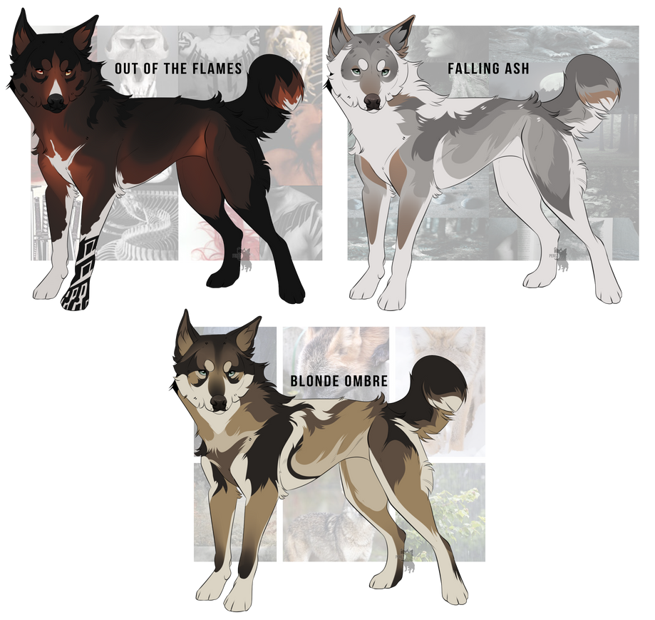 Aug Customs by SucioPerro on DeviantArt