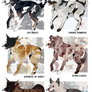 Woof Barks Adopts:. CUSTOMS LEFT