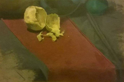 Still life peinture