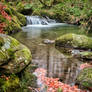 Dolgoch Waterfall 1