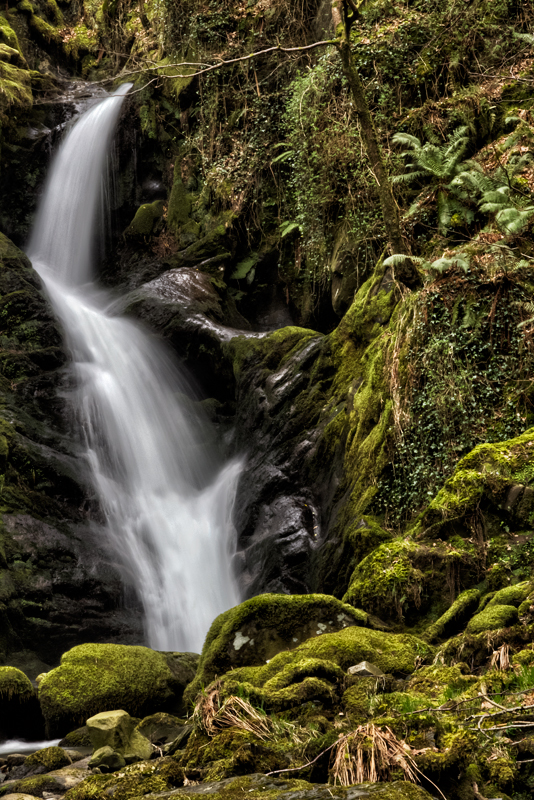 Dolgoch-Waterfalls 6