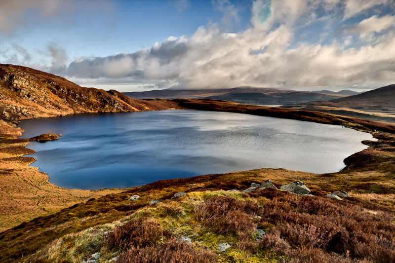 LLyn Arening