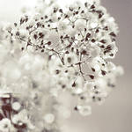 B r e a t h l e s s . . .. by light-from-Emirates