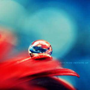 red and blue - drop . . ..