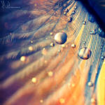 010 by light-from-Emirates