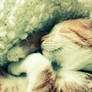sleepy. ..