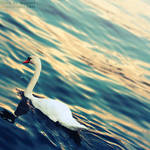 lost in the ocean. .. by light-from-Emirates