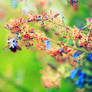the last spring. ..