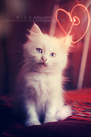 I need your votes plz by light-from-Emirates I need your votes plz by light-from-Emirates