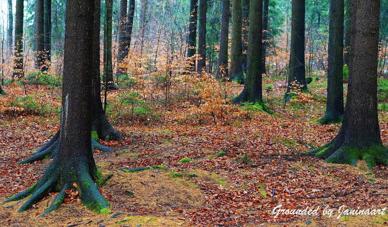 Grounded by Janinaart on DeviantArt