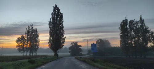 Morning silent road 