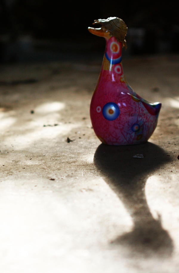 Shadow duck by Maewolf86 on DeviantArt