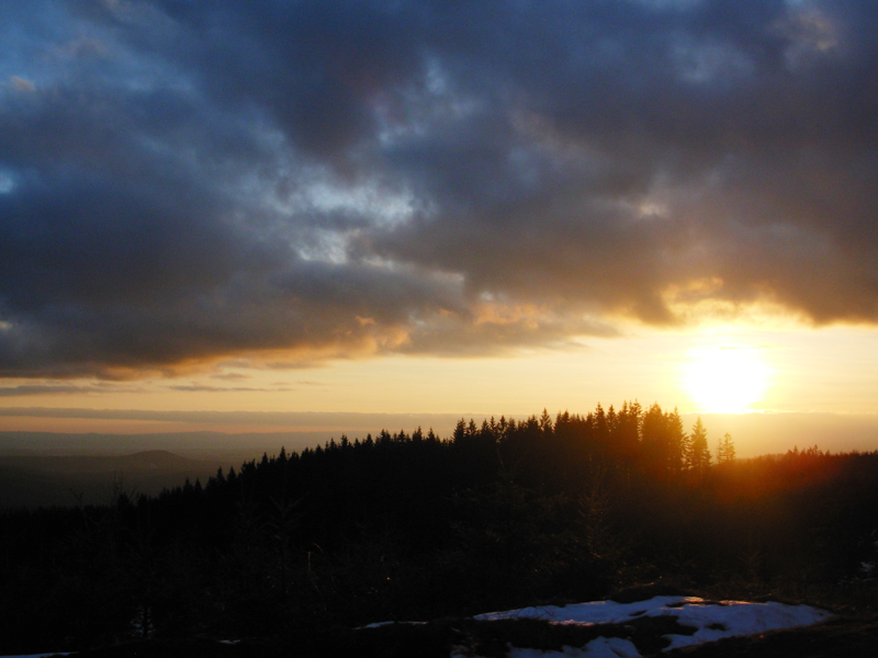 larch sunset 03