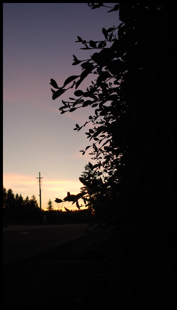 leaf parade