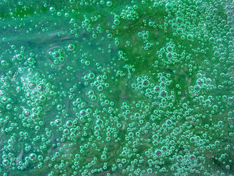 Bubbles in Green Gel