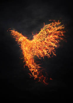 phoenix2