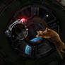 Lost in space