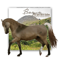 Boy-o Horse Avatar