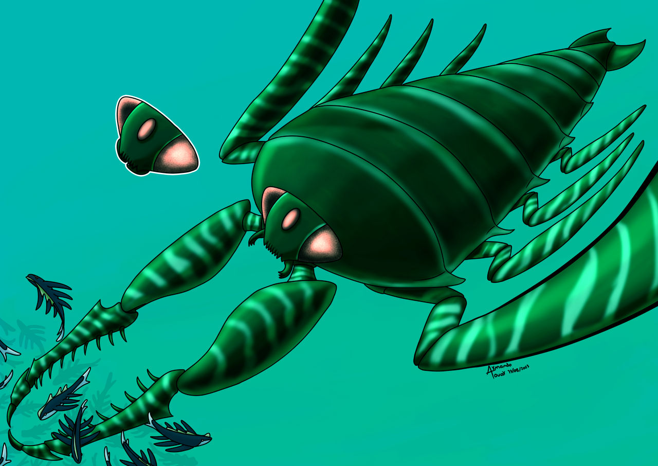 Waterbug Alien Commission by Ni-idea on DeviantArt