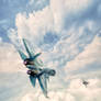 Sukhoi Su-33 Flanker