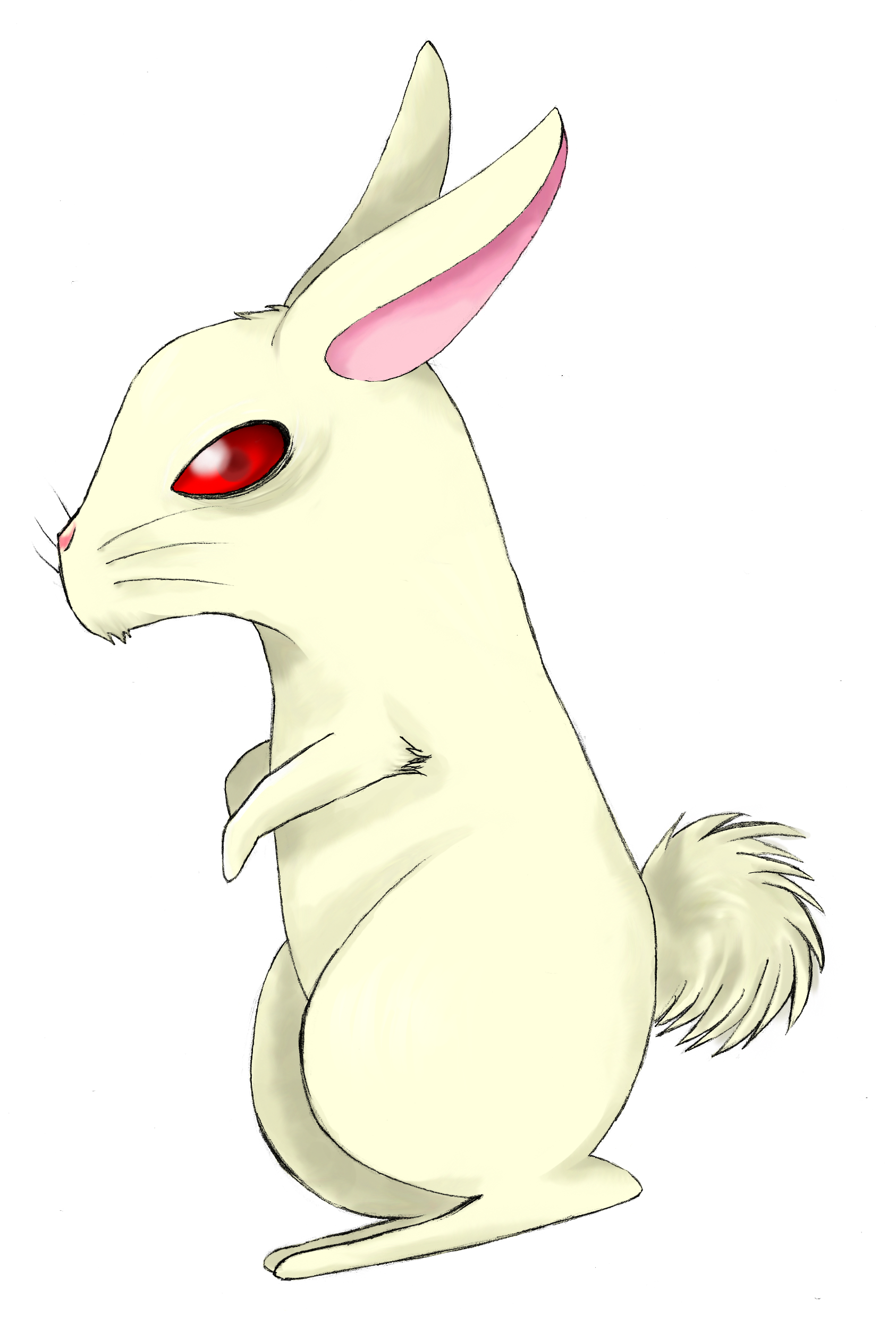 Albino Rabbit by GangstarBunny on DeviantArt