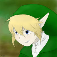 Link