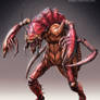 Cockroach