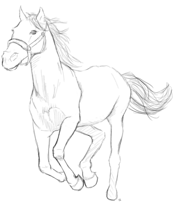 Horse