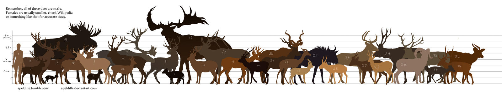 Ungulate size chart by apeldille