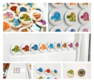 Rainbow of Turtles - Magnet Set