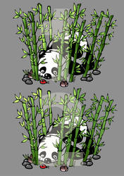 Panda 1 or Panda 2?