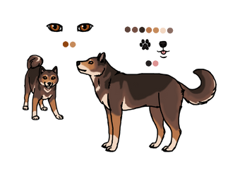 Shiba character design