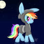 Cutie dash