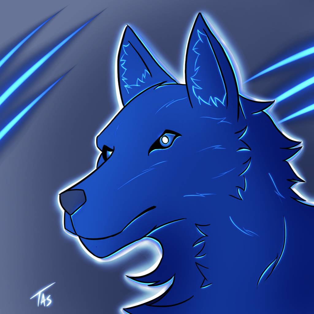 Blue Wolf by TheDarkWolf02 on DeviantArt